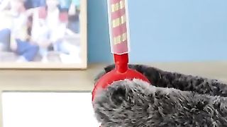 No_Stress_Saturday_With_Some_Funny_Hacks????#oscarfunnyworld_#funnycat_#shorts(360p).