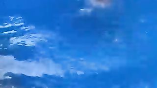 Funny_Pet_Animals_Random_Clips????___Best_#funny_Crazy_Pets_#shorts_Video????___#trending_#animals_#reels(360p).