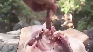Hele_Kip_Buiten_Gekookt_????(360p).