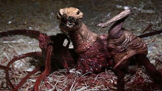The Thing - Dog Scene
