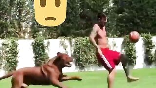 Messi&Ozil&Neymar&Saint Maximin&Ronaldo Playing With Their Dogs????