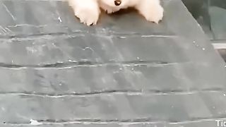 makanya jangan ke gendutan dong!!!