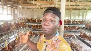 How a young Nigerian graduate became one of the biggest poultry farmers in his country
