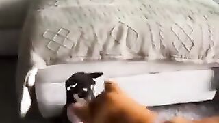 FUNNY VIDEOS