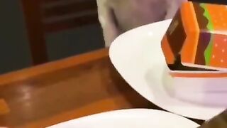 FUNNY VIDEOS