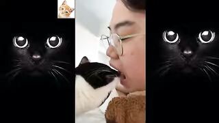 dogs-reaction-to-vet-compilation-funny-cute-reaction-2021-ytshorts