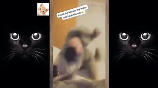 dogs-reaction-to-vet-compilation-funny-cute-reaction-2021-ytshorts