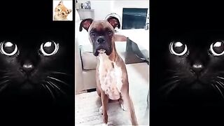 pretend-your-dog-hurt-you-when-they-bite-you-2021-