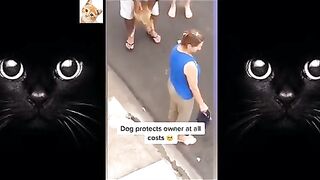 pretend-your-dog-hurt-you-when-they-bite-you-2021-