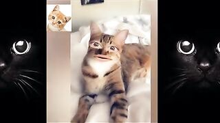 pretend-your-dog-hurt-you-when-they-bite-you-2021-