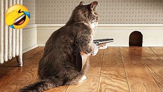 (click ad)Funniest Animals 2022 ???? Funniest Cats and Dogs ????????