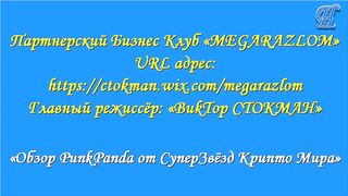 «Обзор PunkPanda от СуперЗвёзд Крипто Мира»