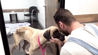 The Amazing Story of Mildred Rescue