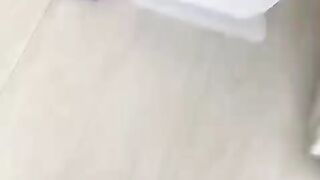 GATO NINJA