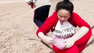 Best Funny Videos 2022, Chinese Funny clips daily #shorts