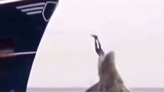 Когда ты голоден ты сам не свой