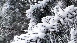 Christmas In The Air