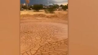 Se não fosse filmado você não acreditava.