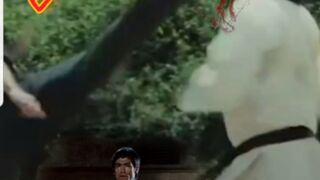 Bruce Lee "Return Of The Dragon"
