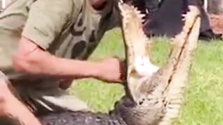 Crazy Actions of the Charmer Handler of Wild Animals