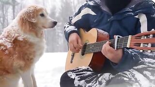 Beautiful melody paradise