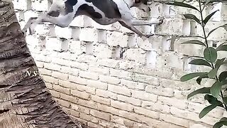 funny