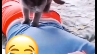 Funny action 81