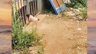 Pork funny
