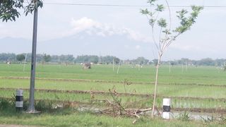 View mount
