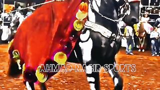 #foryou #foryoupage #dancehorse #viral#febspot