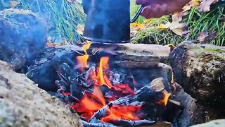 Grilled Cheese Sandwich ???? wait for the pull ????#shorts #asmr #food #coooking #nature