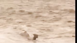 Flash Floods in Arabia
