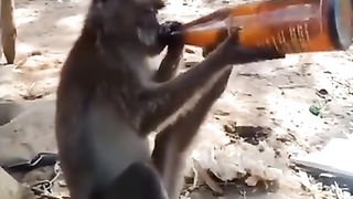 ça  arrive à tout le monde un moment de plaisir