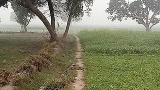 رحیم یار خان: سردی اور دھند کا راج