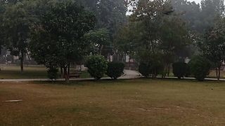 The mind refreshing nature and beauty view ????