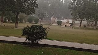 The symbolic view of nature to refresh up your mind