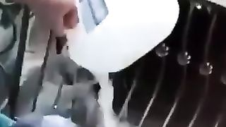 Wild Pranks