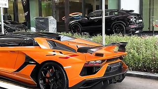 Lamborghini day