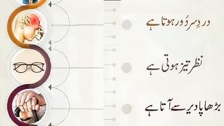 اسلامی معلومات Like share follow 371