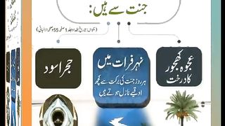 اسلامی معلومات Like share follow 377