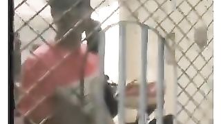 بیوی نے خاوند کو سزا دے دی