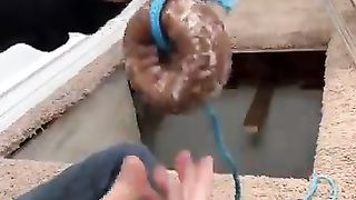 Donut_Trap_Door_????_????(360p).