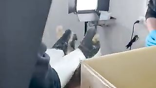 Its_stray_cat_s_life_????(360p).