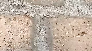 Fried_Meat_Hole(360p).