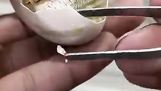 Chick_was_near_to_die_-_I_break_shell_instantly (360p).