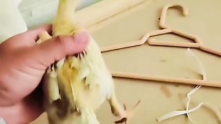 The chooza ll beautiful chicken