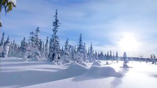 The snow