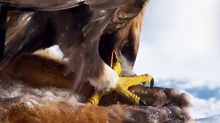 The eagle 2