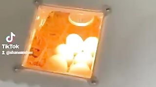 The incubator ll choo zay