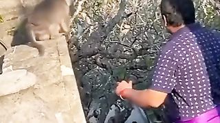 The smart monkey